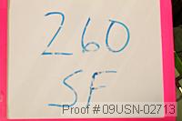 09usn-02713 proof