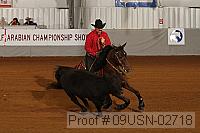 09usn-02718 proof