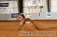 09usn-02742 proof