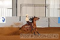 09usn-02743 proof