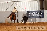 09usn-02745 proof