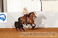09usn-02746 proof