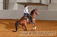 09usn-02772 proof