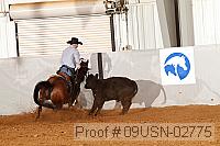 09usn-02775 proof