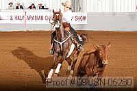 09usn-05280 proof