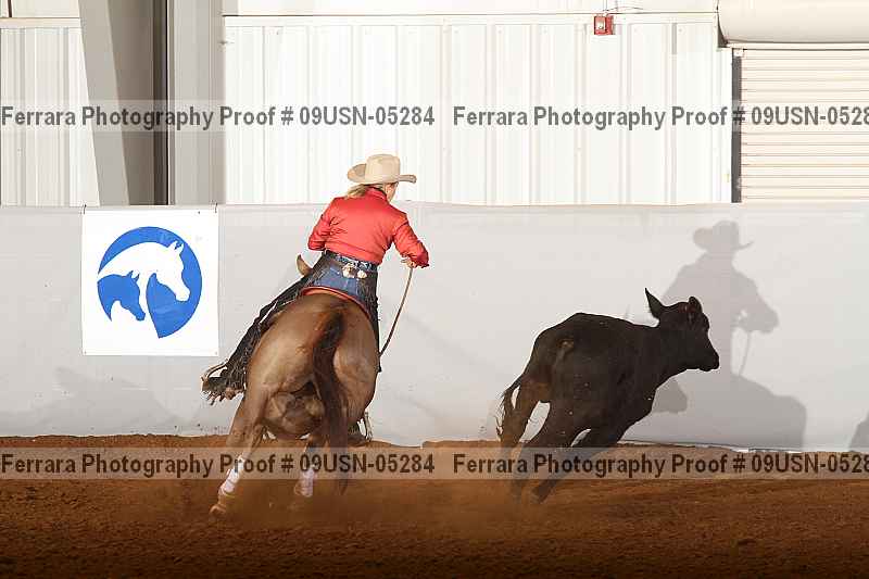 Proof 09usn-05284