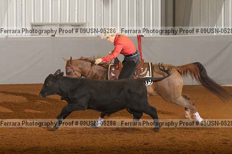 Proof 09usn-05286