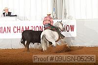 09usn-05296 proof