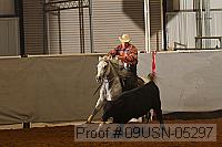 09usn-05297 proof
