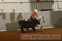 09usn-05299 proof