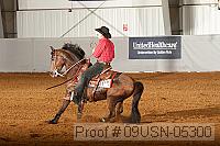 09usn-05300 proof