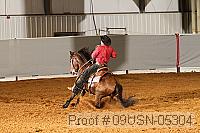 09usn-05304 proof