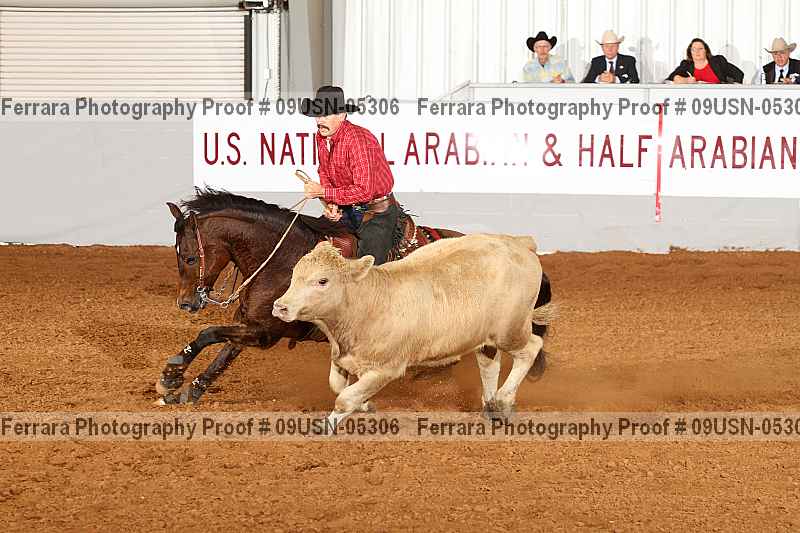 Proof 09usn-05306