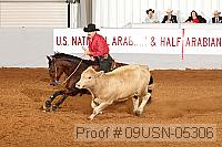 09usn-05306 proof
