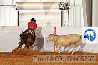 09usn-05307 proof
