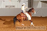 09usn-05310 proof