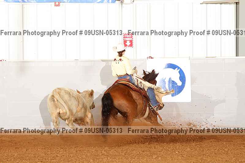 Proof 09usn-05313