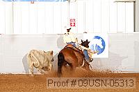 09usn-05313 proof