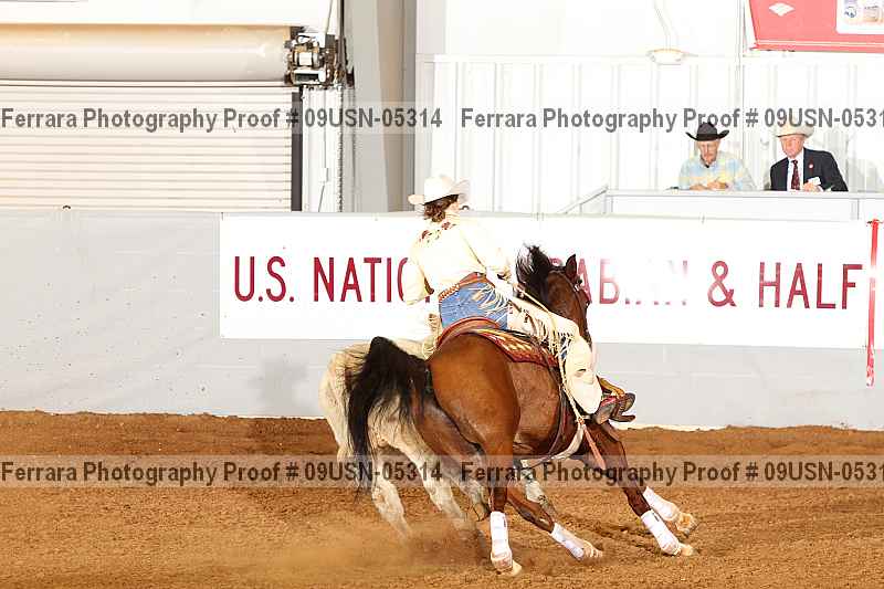 Proof 09usn-05314
