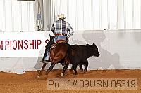 09usn-05319 proof