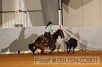09usn-02801 proof