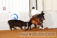 09usn-02828 proof