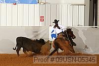 09usn-05345 proof