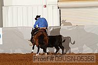 09usn-05358 proof
