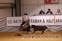 09usn-01546 proof