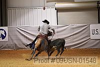 09usn-01548 proof