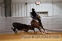 09usn-01556 proof