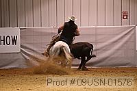 09usn-01576 proof