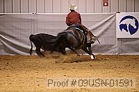 09usn-01591 proof