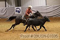 09usn-01595 proof