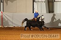 09usn-06441 proof