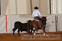 09usn-06483 proof