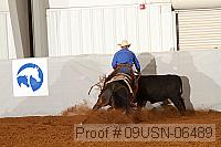 09usn-06489 proof