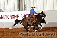 09usn-06490 proof