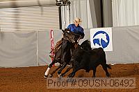 09usn-06492 proof