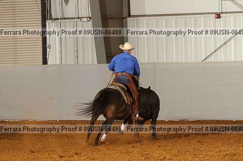 Proof 09usn-06499