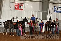 09usn-06517 proof