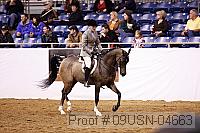 09usn-04663 proof
