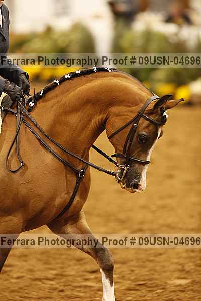 Proof 09usn-04696