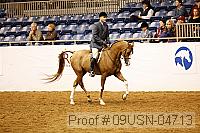 09usn-04713 proof