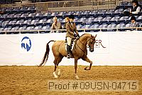 09usn-04715 proof