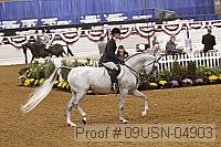 09usn-04903 proof