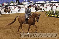 09usn-04910 proof