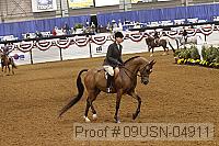 09usn-04911 proof