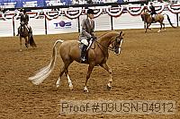 09usn-04912 proof