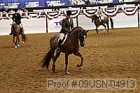 09usn-04913 proof
